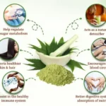 What is Neem ? Benefits of Neem? Uses, Risks, and Side Effects Benefits of Neem   : - Boosts immunity and fights infections, Natural insect repellent and pesticide ,Treats skin conditions like acne, eczema, and psoriasis, Supports digestive health and relieves constipation,Lowers blood sugar and cholesterol levels,  Reduces stress and anxiety, Promotes healthy hair and scalp, Supports liver and kidney function, Natural detoxifier and antioxidant, May help prevent cancer and chronic diseases Skin issues: Neem helps with acne, eczema, psoriasis, and other skin problems. Hair care: Neem promotes healthy hair growth, reduces dandruff, and treats lice. Oral health: Neem prevents tooth decay, gum disease, and bad breath. Insect repellent: Neem oil repels mosquitoes, ticks, and other pests. Immune system: Neem boosts the immune system and prevents illnesses. Digestive health: Neem treats constipation, diarrhea, and indigestion. Anti-inflammatory: Neem reduces pain and swelling. Antioxidant: Neem protects against cell damage and reduces the risk of chronic diseases. Cancer prevention: Neem has anti-cancer properties. Environmental benefits: Neem trees prevent soil erosion and are drought-tolerant. Anti-aging: Neem reduces wrinkles and fine lines. Fungal infections: Neem treats fungal infections like ringworm and athlete's foot. Wound healing: Neem accelerates wound healing. Menstrual relief: Neem eases menstrual cramps and bloating. Respiratory issues: Neem treats asthma, bronchitis, and other respiratory problems. Neem, also known as Azadirachta indica, is a tree native to India and Southeast Asia, and its benefits are numerous. Here are some of the advantages of neem: Medicinal properties: Neem has antibacterial, antiviral, and antifungal properties, making it effective against various diseases. Skin and hair care: Neem oil is used to treat skin conditions like acne, eczema, and psoriasis, and promotes healthy hair growth. Insect repellent: Neem oil is a natural insecticide that repels mosquitoes, ticks, and other pests. Oral health: Neem twigs are used as a natural toothbrush to prevent tooth decay, gum disease, and bad breath. Anti-inflammatory: Neem has anti-inflammatory properties that can help reduce pain and swelling. Antioxidant: Neem has antioxidant properties that can help protect against cell damage and reduce the risk of chronic diseases. Immune system: Neem can help boost the immune system and prevent illnesses. Digestive health: Neem can help treat digestive issues like constipation, diarrhea, and indigestion. Cancer prevention: Neem has been shown to have anti-cancer properties that can help prevent the growth of cancer cells. Environmental benefits: Neem trees are drought-tolerant and can help prevent soil erosion, making them a sustainable choice for agriculture and landscaping. NEEM Meaning Creepa, auch bekannt als Neem, ist ein Baum, der ursprünglich aus Indien und Südostasien stammt. Seine Blätter, Samen, Öl und andere Teile werden in der traditionellen Medizin, Landwirtschaft und Kosmetik verwendet. Neem hat eine Vielzahl von Vorteilen, darunter: - Entziert und tötet Insekten ab - Wird bei Hautproblemen wie Akne, Ekzemen und Psoriasis eingesetzt - Fördert gesundes Haarwachstum - Wird als natürliches Insektizid verwendet - Hat entzündungshemmende Eigenschaften - Hat antioxidative Eigenschaften - Kann das Immunsystem stärken - Kann bei Verdauungsproblemen helfen - Hat krebsvorbeugende Eigenschaften Neem ist ein vielseitiger Baum mit einer Vielzahl von Anwendungen. Wenn Sie jedoch Neem-Produkte verwenden, sollten Sie sich vorher mit einem Arzt oder einem qualifizierten Gesundheitsexperten beraten, insbesondere wenn Sie schwanger sind, stillen oder Medikamente einnehmen. 10 Health Benefits of Neem Here are 10 health benefits of neem: Boosts Immune System: Neem has antimicrobial properties that help fight off infections and boost the immune system. Antibacterial and Anti-Inflammatory: Neem's antibacterial and anti-inflammatory properties help reduce acne, soothe skin irritations, and promote wound healing. Oral Health: Neem's antibacterial properties help prevent tooth decay, gum disease, and bad breath. Digestive Health: Neem helps treat constipation, diarrhea, and indigestion due to its anti-inflammatory properties. Skin Conditions: Neem treats eczema, psoriasis, and other skin conditions due to its anti-inflammatory and antibacterial properties. Hair Care: Neem promotes healthy hair growth, reduces dandruff, and treats lice. Insect Repellent: Neem oil repels mosquitoes, ticks, and other pests. Antioxidant Properties: Neem protects against cell damage and reduces the risk of chronic diseases. Menstrual Relief: Neem eases menstrual cramps, bloating, and other symptoms. Cancer Prevention: Neem has been shown to have anti-cancer properties that help prevent the growth of cancer cells. Remember to consult a healthcare professional before using neem products, especially if you have pre-existing medical conditions or take medications Neem Tree Advantages Here are some advantages of the neem tree: Medicinal uses: Neem has been used for centuries to treat various health issues, from skin conditions to digestive problems. Insect repellent: Neem oil is a natural insecticide that repels mosquitoes, ticks, and other pests. Environmental benefits: Neem trees are drought-tolerant, require minimal maintenance, and can thrive in poor soil conditions. Soil enrichment: Neem leaves and seeds can be used as organic fertilizers to enrich soil quality. Air purification: Neem trees absorb pollutants and release oxygen, improving air quality. Wildlife habitat: Neem trees provide food and shelter for various birds, insects, and animals. 7. Erosion control: Neem tree roots help prevent soil erosion and landslides. Timber and fuelwood: Neem wood is used for furniture-making, construction, and fuelwood. Dye and pigment: Neem leaves and seeds can be used as natural dyes and pigments. Cultural significance: Neem trees hold spiritual and cultural significance in many communities, particularly in India and Africa. Low maintenance: Neem trees require minimal watering, pruning, and care. Pest control: Neem trees repel pests that damage crops, reducing the need for pesticides. Climate change mitigation: Neem trees absorb carbon dioxide and release oxygen, helping combat climate change. Soil conservation: Neem tree roots hold soil in place, preventing erosion and landslides. Biodiversity support: Neem trees support a range of beneficial insects, animals, and microorganisms. benefits of drinking boiled neem leaves water The benefits of drinking boiled neem leaves water include: Boosts immunity: Neem has antimicrobial properties that help fight off infections. Detoxifies the body: Neem helps remove toxins and purify the blood. Digestive health: Neem improves digestion, reduces bloating, and treats constipation. Skin health: Neem's antibacterial properties help treat acne, eczema, and other skin issues. Reduces inflammation: Neem has anti-inflammatory properties that reduce pain and swelling. Lowers blood sugar: Neem helps regulate blood sugar levels. Supports liver health: Neem protects the liver from damage and promotes healthy liver function. Antioxidant properties: Neem protects against cell damage and reduces the risk of chronic diseases. Reduces stress and anxiety: Neem has a calming effect on the mind and body. Improves oral health: Neem's antibacterial properties help prevent tooth decay, gum disease, and bad breath. Remember to: - Use fresh neem leaves - Boil them in water for 5-7 minutes - Strain and drink the water - Start with a small dose (1/2 cup) and gradually increase - Consult a healthcare professional before using neem water, especially if you have pre-existing medical conditions or take medications. 10 Benifits of Neem Leaf Here are some additional benefits of drinking boiled neem leaves water: Menstrual relief: Neem helps ease menstrual cramps, bloating, and other symptoms. Antibacterial properties: Neem helps treat urinary tract infections and other bacterial infections. Anti-aging properties: Neem's antioxidants reduce fine lines, wrinkles, and age spots. Improves eye health: Neem's antioxidants reduce the risk of cataracts, glaucoma, and age-related macular degeneration. Supports respiratory health: Neem helps treat bronchitis, asthma, and other respiratory issues. Reduces fever: Neem's antipyretic properties help reduce fever and alleviate symptoms. Improves wound healing: Neem's antibacterial properties promote wound healing and reduce the risk of infection. Supports bone health: Neem's antioxidants reduce the risk of osteoporosis and fractures. Reduces bad breath: Neem's antibacterial properties help eliminate bad breath. 10. Natural insect repellent: Neem's insecticidal properties help repel mosquitoes and other pests. 6 potential risks or side effects with neem I can help you with that! Here are 6 potential risks or side effects to consider when using neem: Allergic reactions: Some people may be allergic to neem, which can cause symptoms like itching, redness, and swelling. Stomach upset: Neem can cause stomach upset, nausea, and diarrhea in some individuals, especially when consumed in large quantities. Interference with medication: Neem may interact with certain medications, such as blood thinners, diabetes medications, and thyroid medications. Pregnancy and breastfeeding concerns: Neem may not be suitable for pregnant or breastfeeding women, as it can stimulate the uterus or affect milk production. Thyroid problems: Neem may affect thyroid function, particularly for people with hypothyroidism. Kidney and liver issues: Neem may affect kidney and liver function, particularly if taken in large quantities or over an extended period. It's essential to consult a healthcare professional before using neem products, especially if you have pre-existing medical conditions or take medications. They can help you weigh the benefits and risks and use neem safely. Here are some additional potential risks or side effects to consider when using neem: Low blood sugar: Neem may lower blood sugar levels, which can be problematic for people with diabetes. Sperm count reduction: Neem may reduce sperm count in men, which can affect fertility. Skin irritation: Neem oil can cause skin irritation, especially if used undiluted or in high concentrations. Eye irritation: Neem oil can cause eye irritation, redness, and tearing if it comes into contact with the eyes. Gastrointestinal issues: Neem can cause gastrointestinal issues like bloating, gas, and stomach cramps in some individuals. Autoimmune disease concerns: Neem may exacerbate autoimmune diseases like lupus, rheumatoid arthritis, or multiple sclerosis. There are several types of neem, including:  Azadirachta indica (Indian neem): The most commonly used species, native to India and Southeast Asia. Azadirachta siamensis (Siamese neem): Native to Thailand and Southeast Asia. Azadirachta excelsa (Malaysian neem): Native to Malaysia and Southeast Asia. Melia azedarach (Chinaberry neem): Native to Asia and Australia. Melia dubia (Malabar neem): Native to India and Southeast Asia. Varieties of Azadirachta indica: Nimbin: High in azadirachtin, a key insecticidal compound. Eco-neem: A variety with high oil content. Neem kernal: High in protein and oil content. Marigold neem: A dwarf variety with bright yellow flowers. Red neem: A variety with reddish-brown leaves. Note: These types and varieties may have different characteristics, growth habits, and uses. The Azadirachta indica species is the most widely used and researched for its medicinal and insecticidal properties