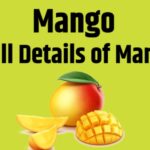  Mango Facts & Information