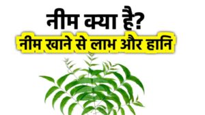 benefits of neem leaves