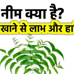 benefits of neem leaves