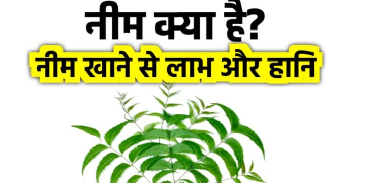 benefits of neem leaves